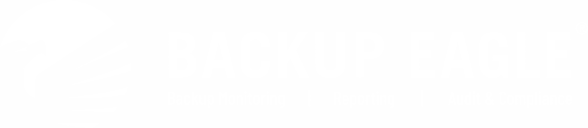 BACKUP EAGLE® Logo in Weiß vor transparentem HIntergrund.