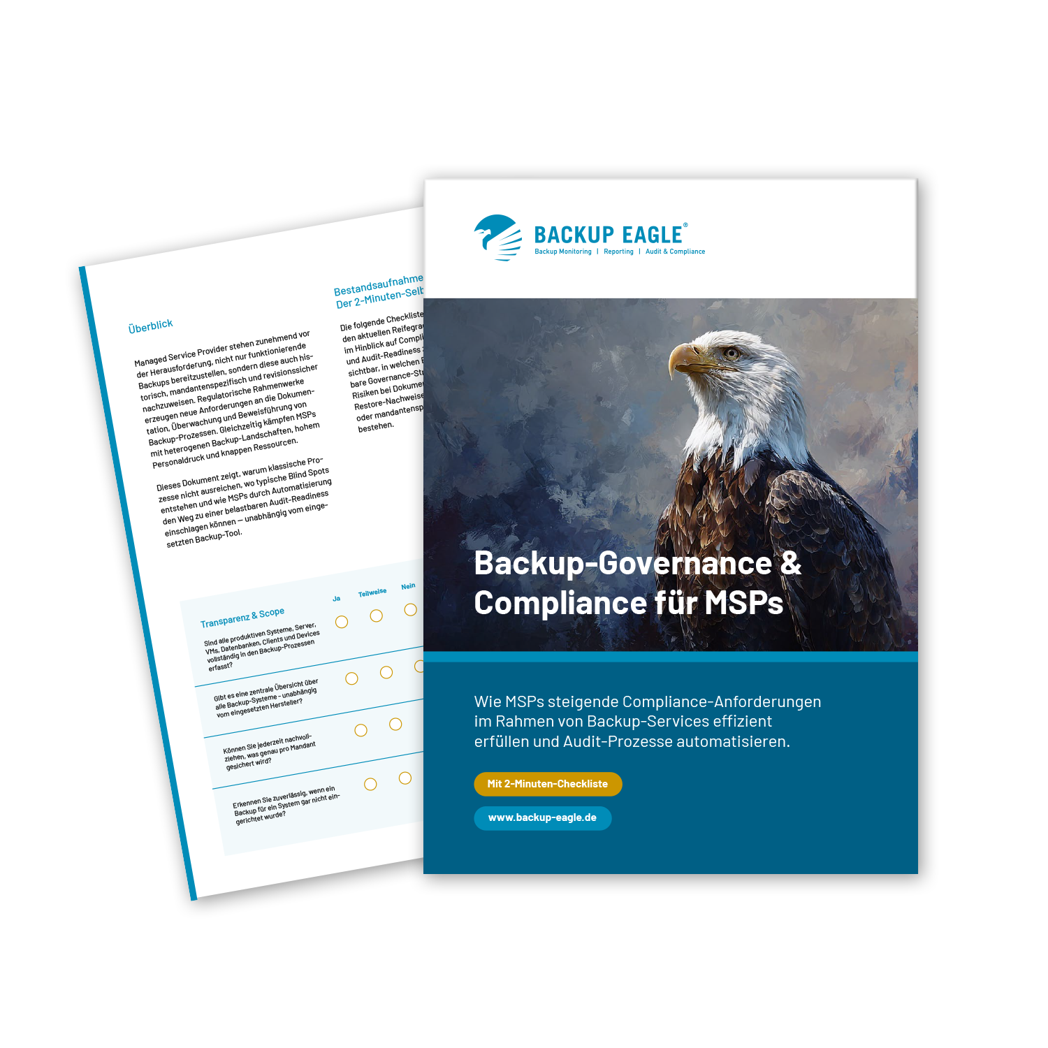 Der Praxis-Guide: Audit-Readiness für MSPs mit komplexen Backup-Umgebungen.